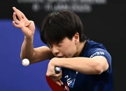 开云官方app入口-包含瑞典乒乓球队完胜比利时乒乓球队，奥恰洛夫惊艳世界的词条