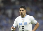 开云体育登录-包含乌拉圭爆冷秘鲁，苏亚雷斯一己之力扛起全队的词条