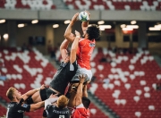 开云体育在线-冰与火的博弈，莱万如何以节奏大师之姿，主宰德国对阵冰岛的绿茵战场