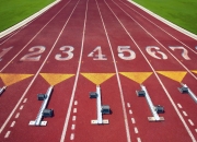 开云体育中国-2026世界杯A组强强对话，奥地利风暴横扫喀麦隆，巴雷拉领衔战术革命