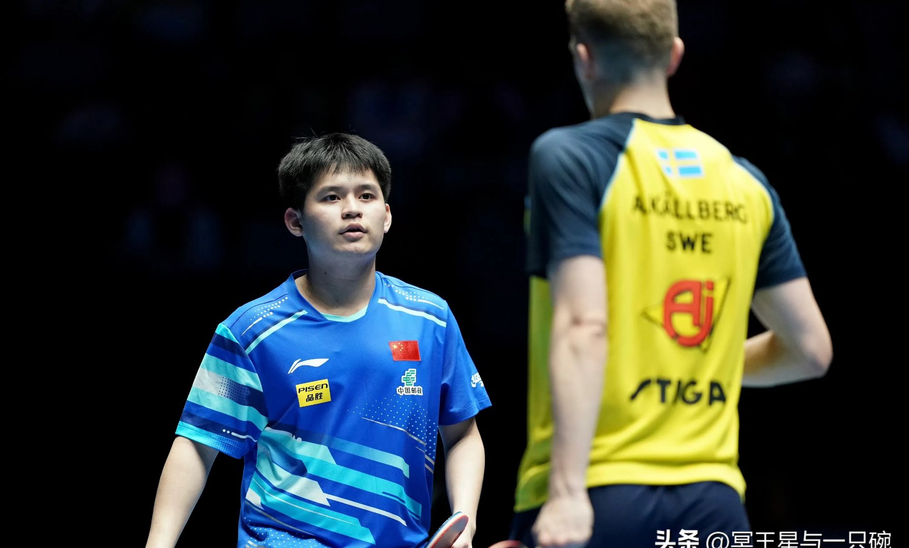德国乒乓球队力克比利时乒乓球队，王皓制霸全场的简单介绍