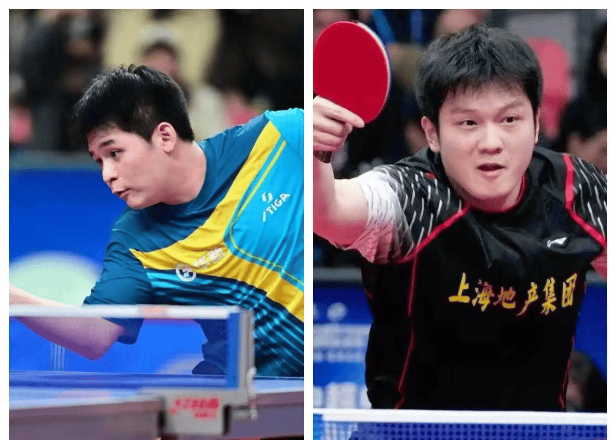 日本乒乓球队横扫法国乒乓球队,樊振东三分雨点燃全场 日本乒乓球队横扫法国乒乓球队,樊振东三分雨点燃全场