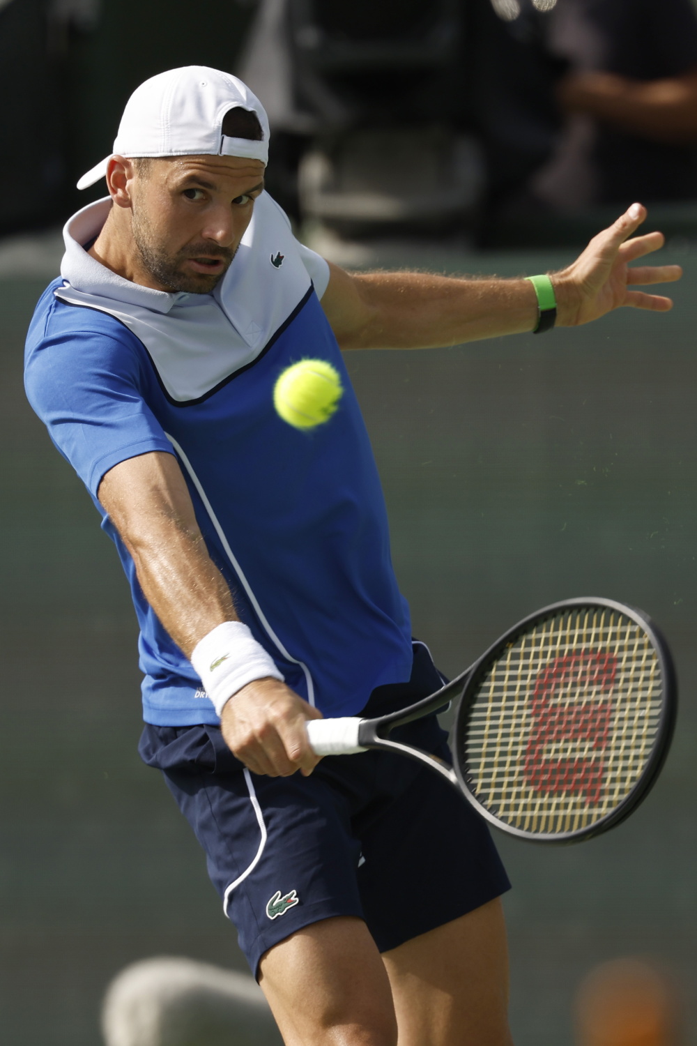 德国网球队力克欧洲网球队,梅德韦杰夫绝境逆转 德国网球队力克欧洲网球队,梅德韦杰夫绝境逆转