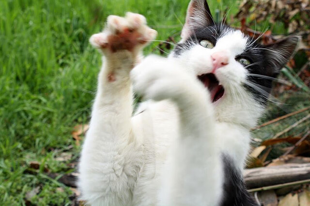 当奇才撕碎剧本，乔治的稳定，与一场加时赛的哲学