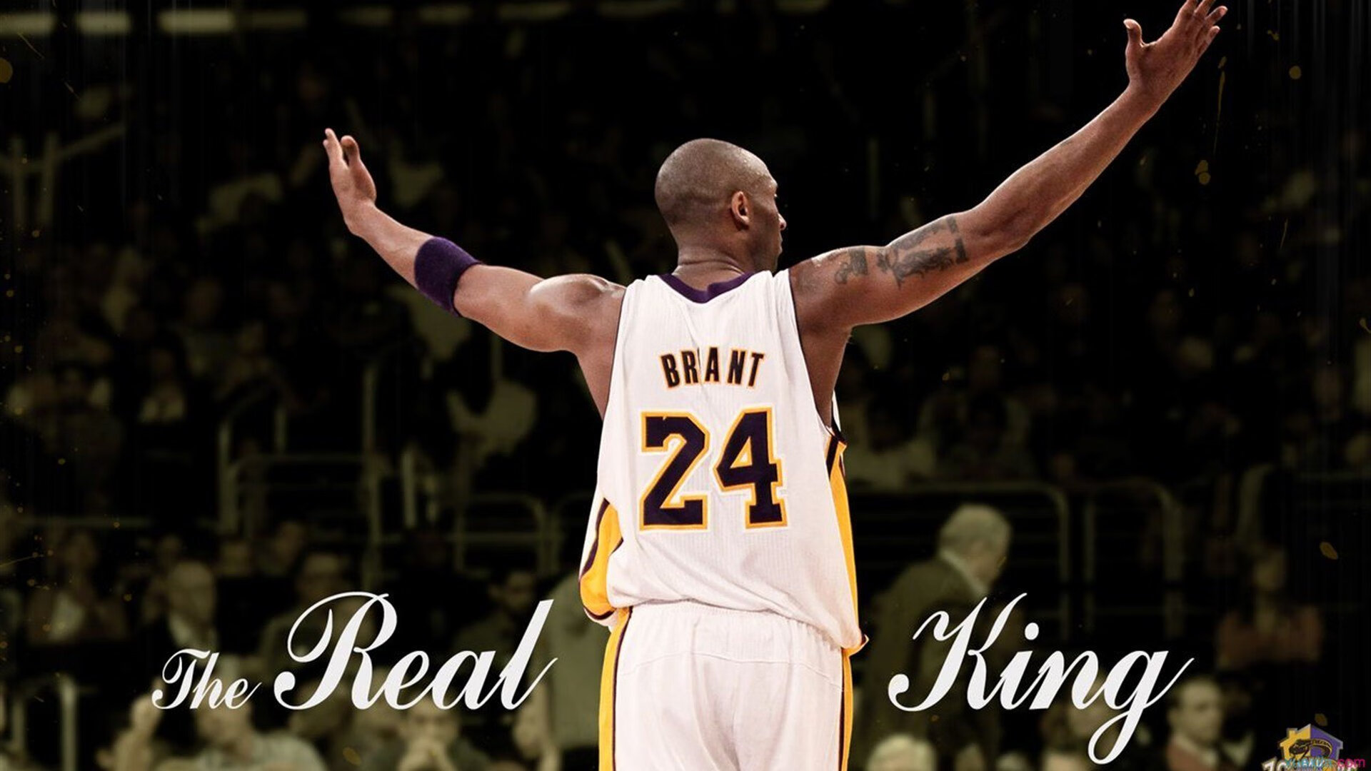 年度焦点之战，湖人强势拿下广厦队，王者之师展露冠军相